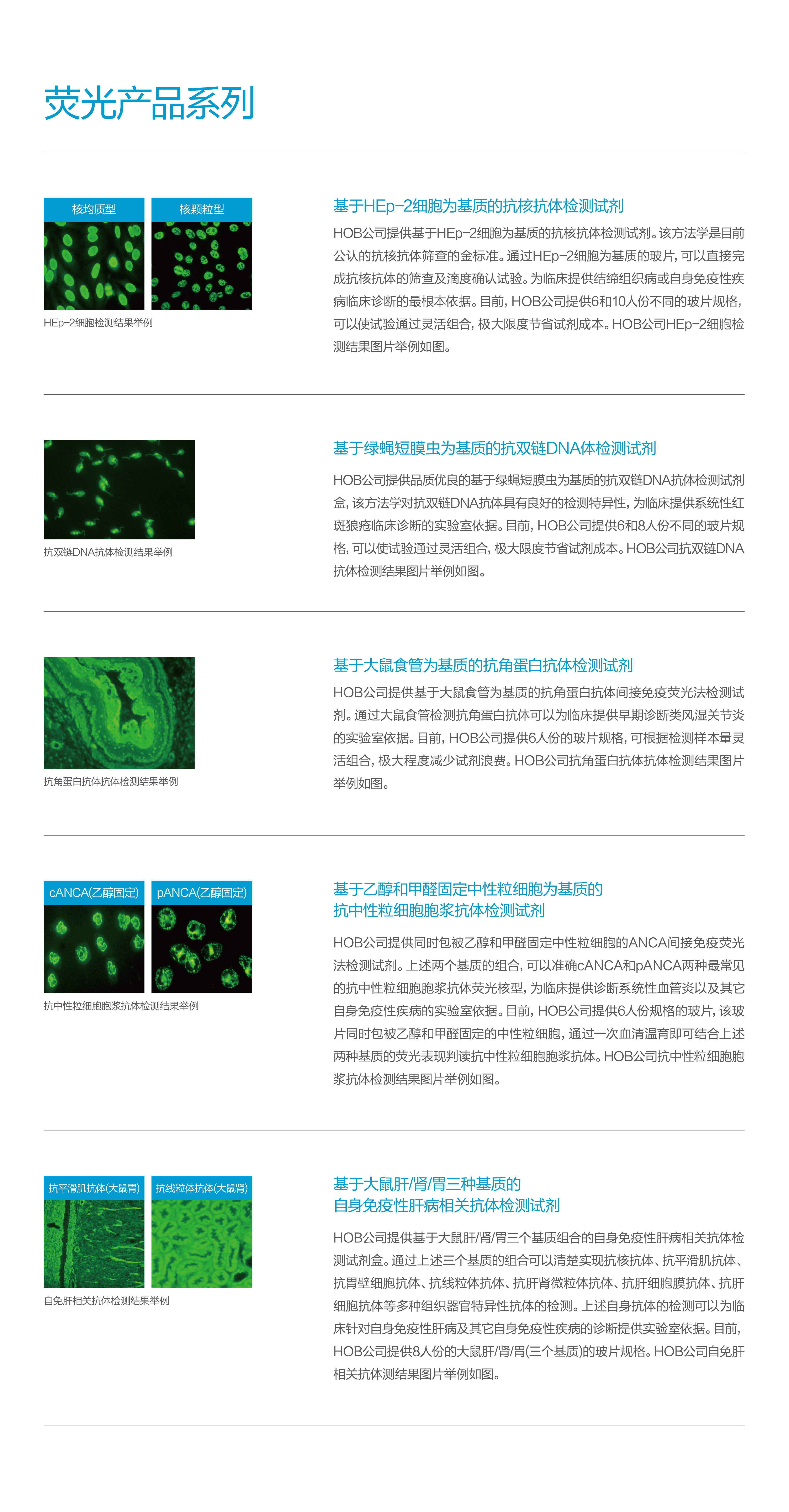 浩欧博-官网产品中心-荧光产品系列.jpg